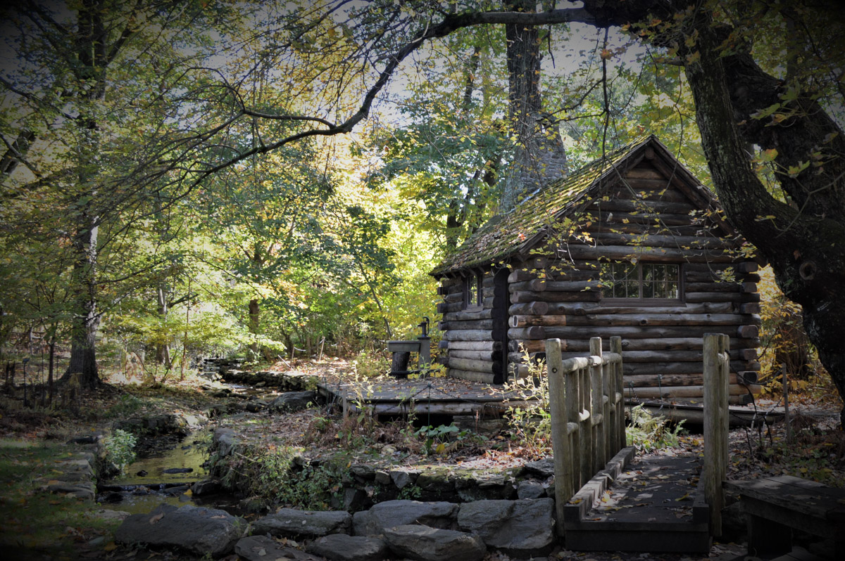 A quiet scene rich with foliage at the Morris Arboretum of the University of Pennsylvania.