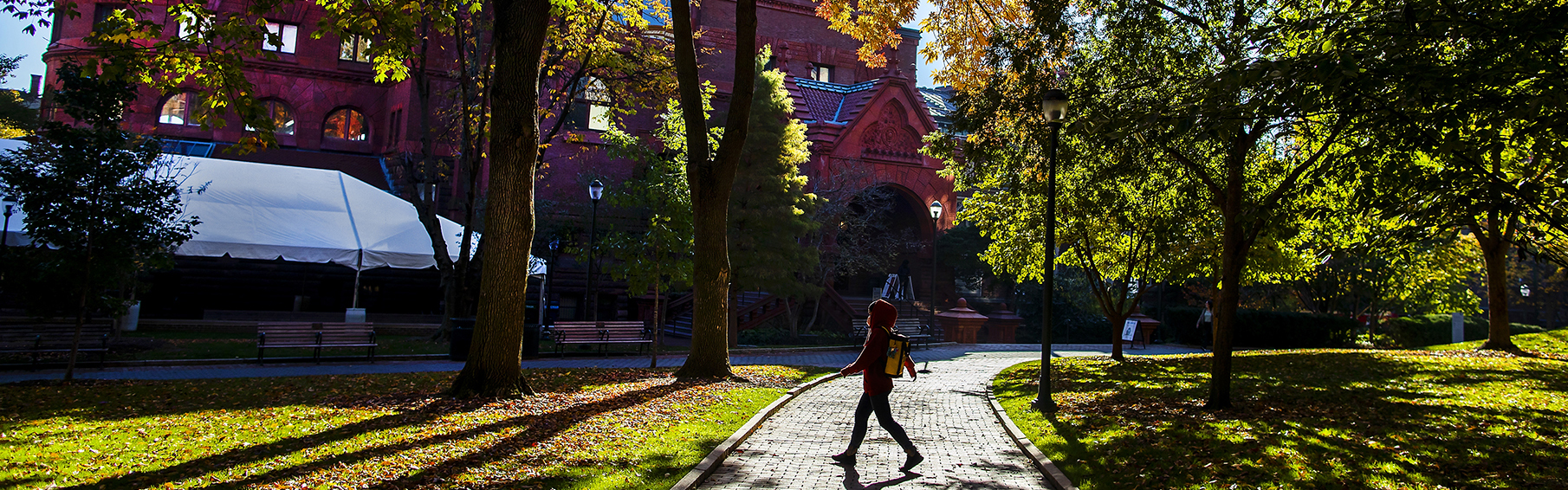 locust walk facing fisher fine arts library