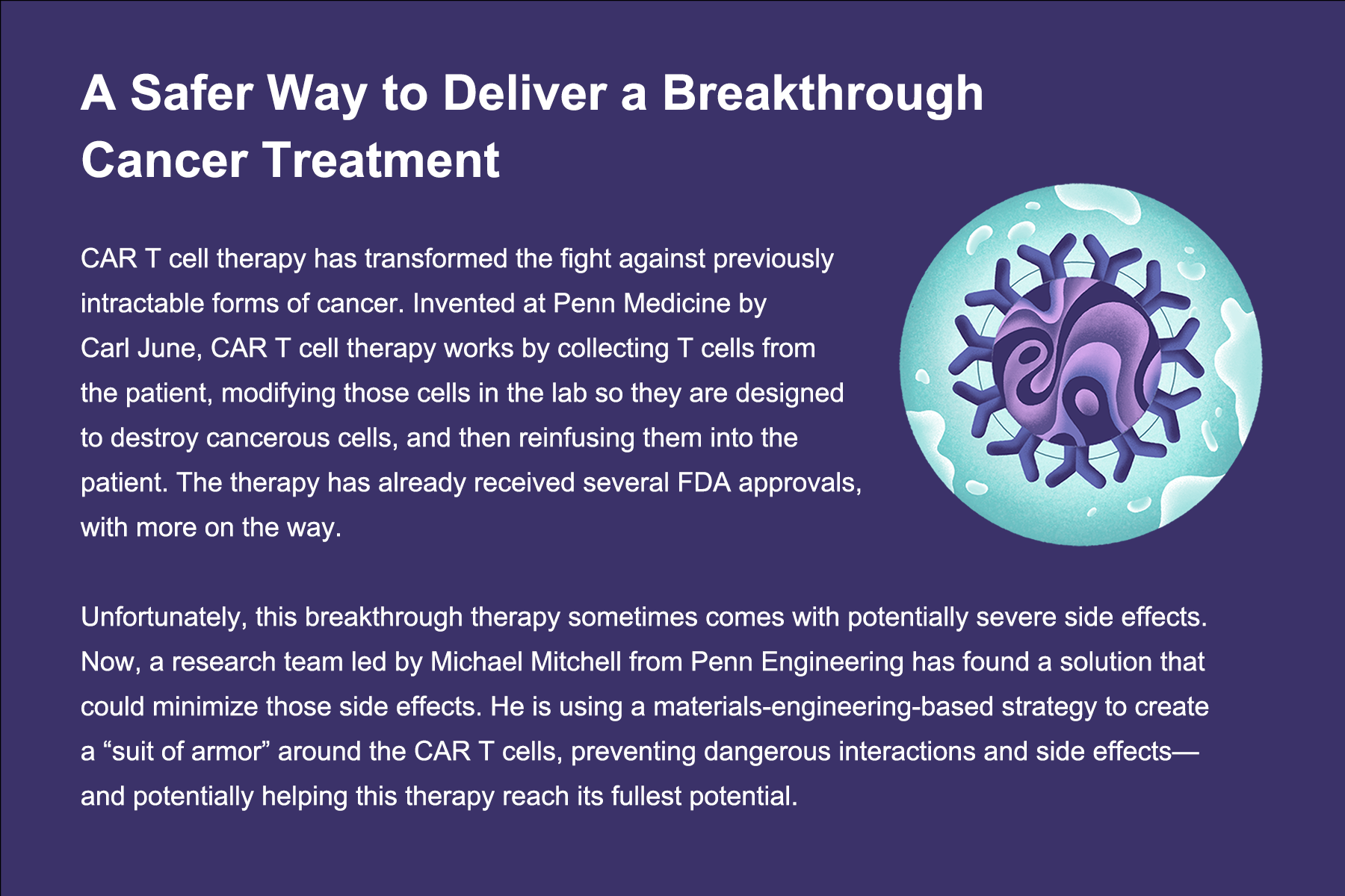 A card with an illustration representing a T cell and the following text: A Safer Way to Deliver a Breakthrough Cancer Therapy CAR T cell therapy has transformed the fight against previously intractable forms of cancer. Invented at Penn Medicine by Carl June, CAR T cell therapy works by collecting T cells from the patient, modifying those cells in the lab so they are designed to destroy cancerous cells, and then reinfusing them into the patient. The therapy has already received several FDA approvals, with more on the way. Unfortunately, this breakthrough therapy sometimes comes with potentially severe side effects. Now, a research team led by Michael Mitchell from Penn Engineering has found a solution that could minimize those side effects. He is using a materials-engineering-based strategy to create a “suit of armor” around the CAR T cells, preventing dangerous interactions and side effects—and potentially helping this therapy reach its fullest potential.