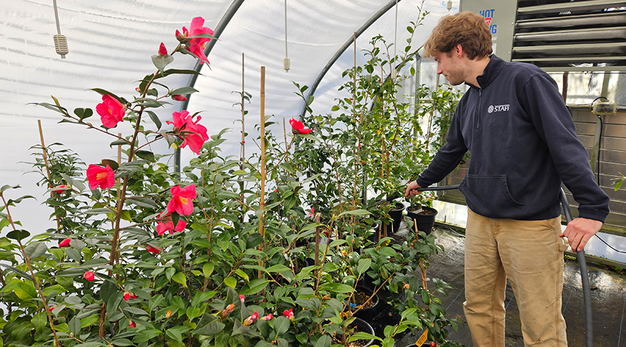 https://upenn-philanthropy.durkancloud.net/wp-content/uploads/mor_native-plants_aug24_a-spot_mobile_1.jpg